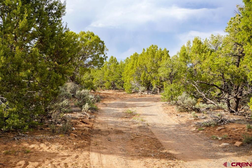61020 Tres Coyote Trail Montrose CO 81403