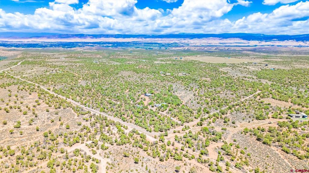 61020 Tres Coyote Trail Montrose CO 81403