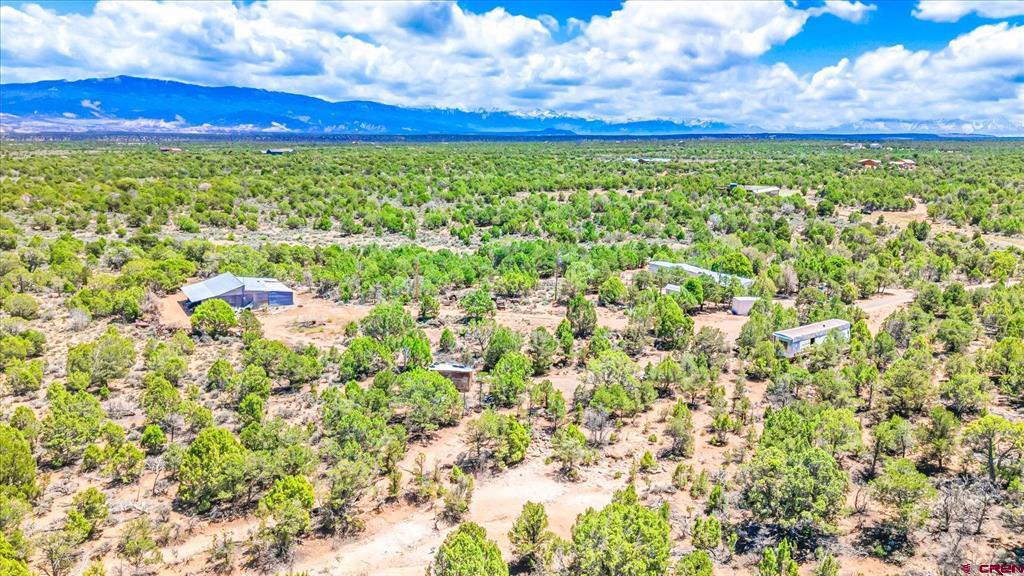 61020 Tres Coyote Trail Montrose CO 81403