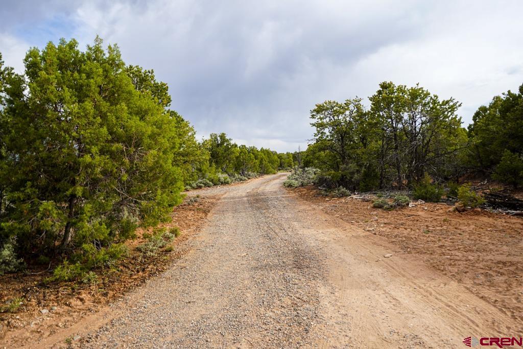 61020 Tres Coyote Trail Montrose CO 81403
