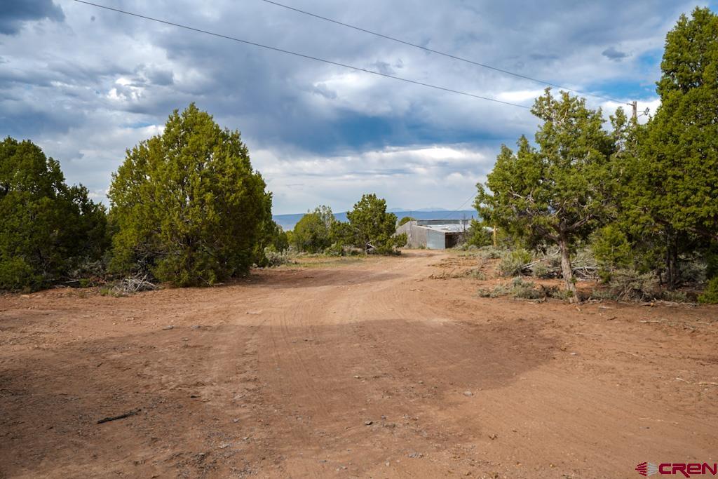 61020 Tres Coyote Trail Montrose CO 81403