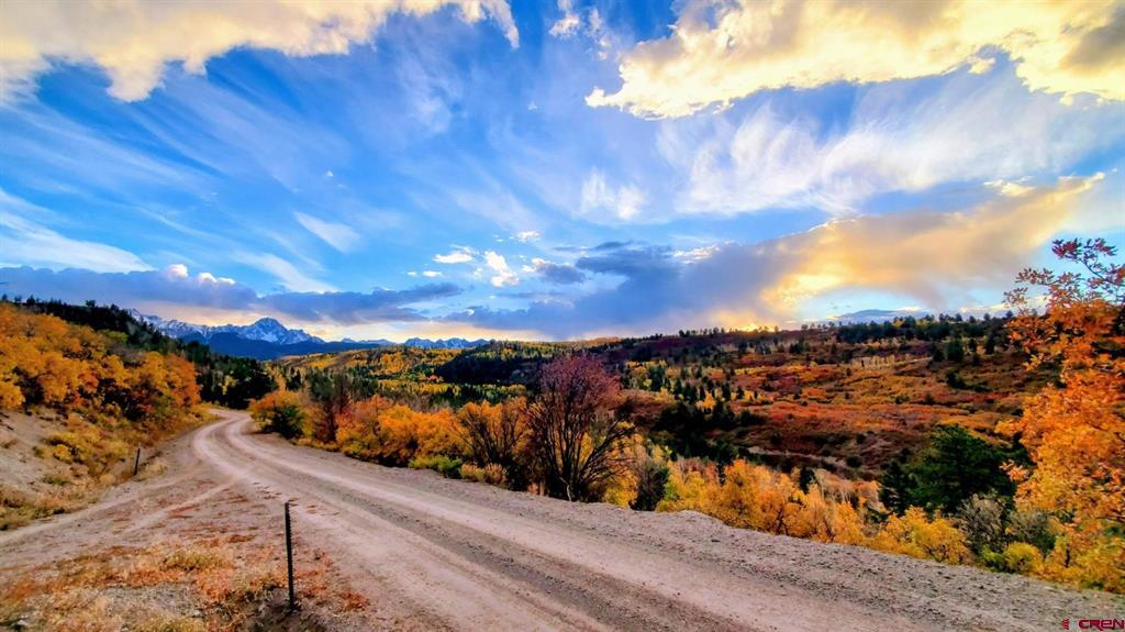 87 Which Way Ridgway CO 81432