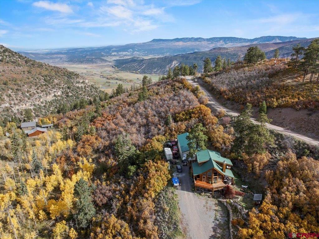 87 Which Way Ridgway CO 81432