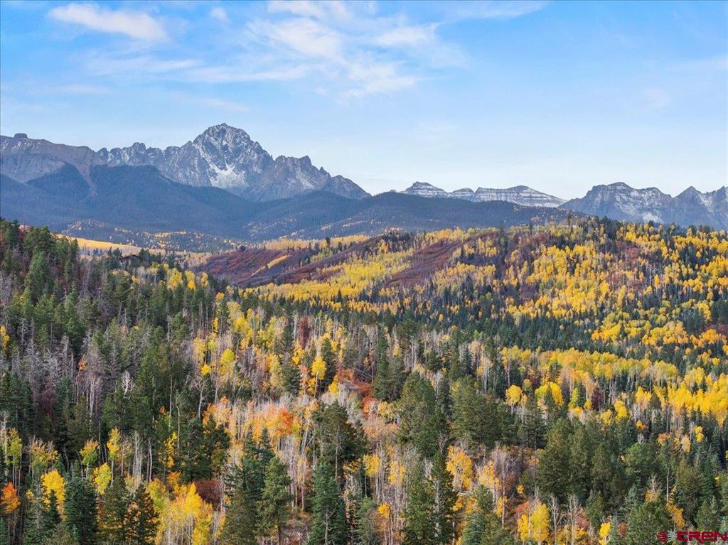87 Which Way Ridgway CO 81432