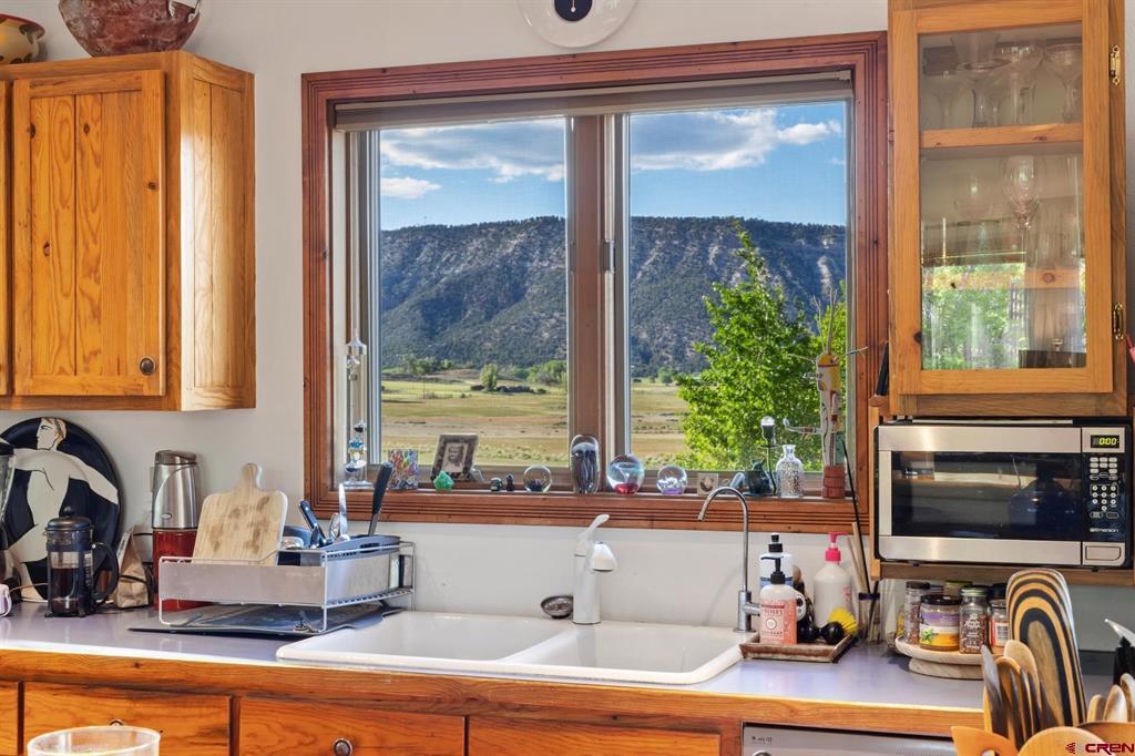 750 Charles Street Ridgway CO 81432