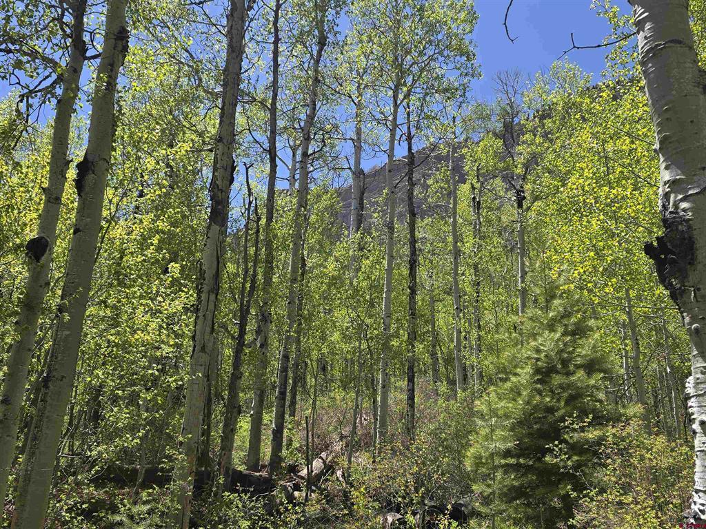 89 Hermosa View Drive Durango CO 81301