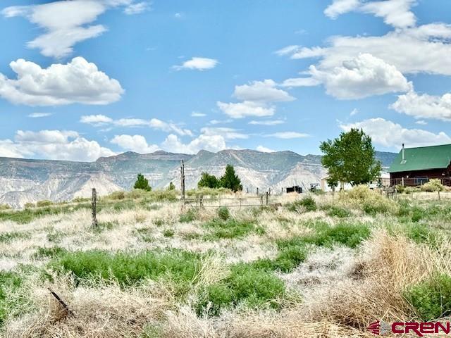 21424 Road F Cortez CO 81321