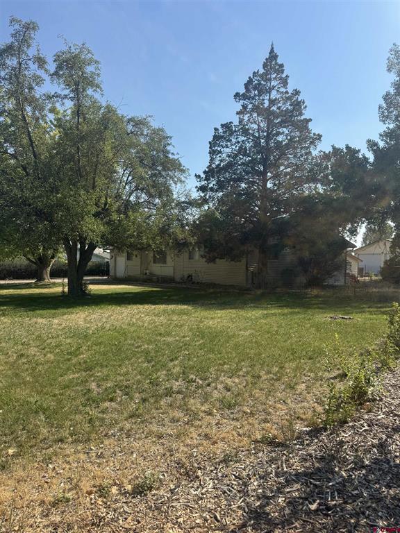240 Demaria Montrose CO 81401