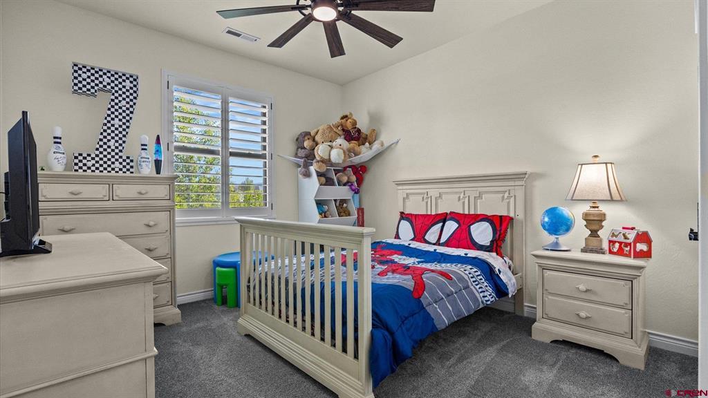 3030 Wildhorse Circle Montrose CO 81401