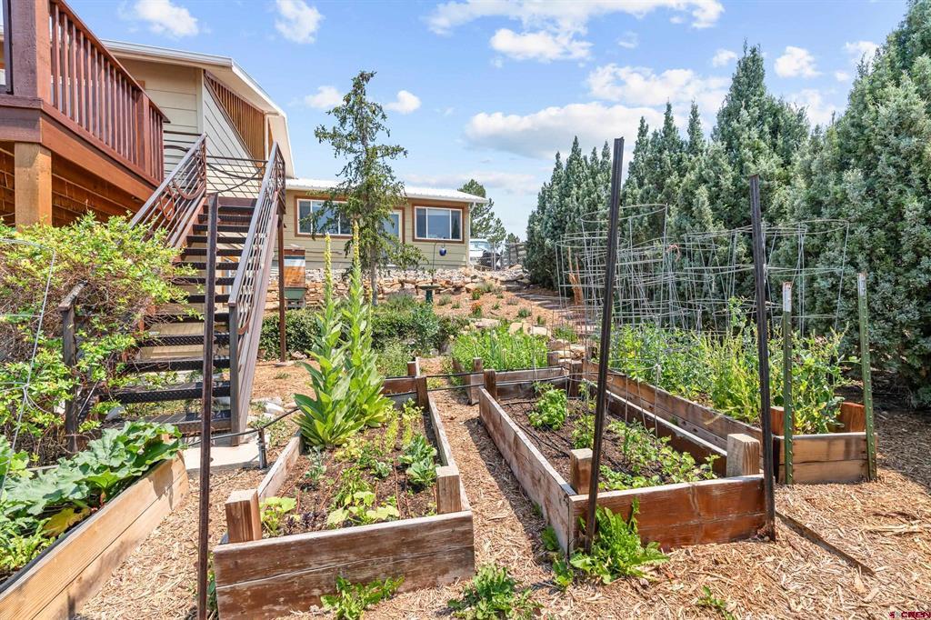 67298 Leadville Court Montrose CO 81401