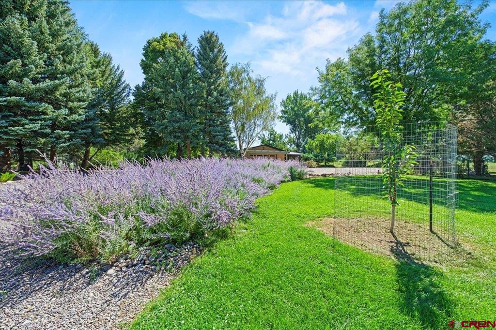 16470 6300 Road Montrose CO 81403