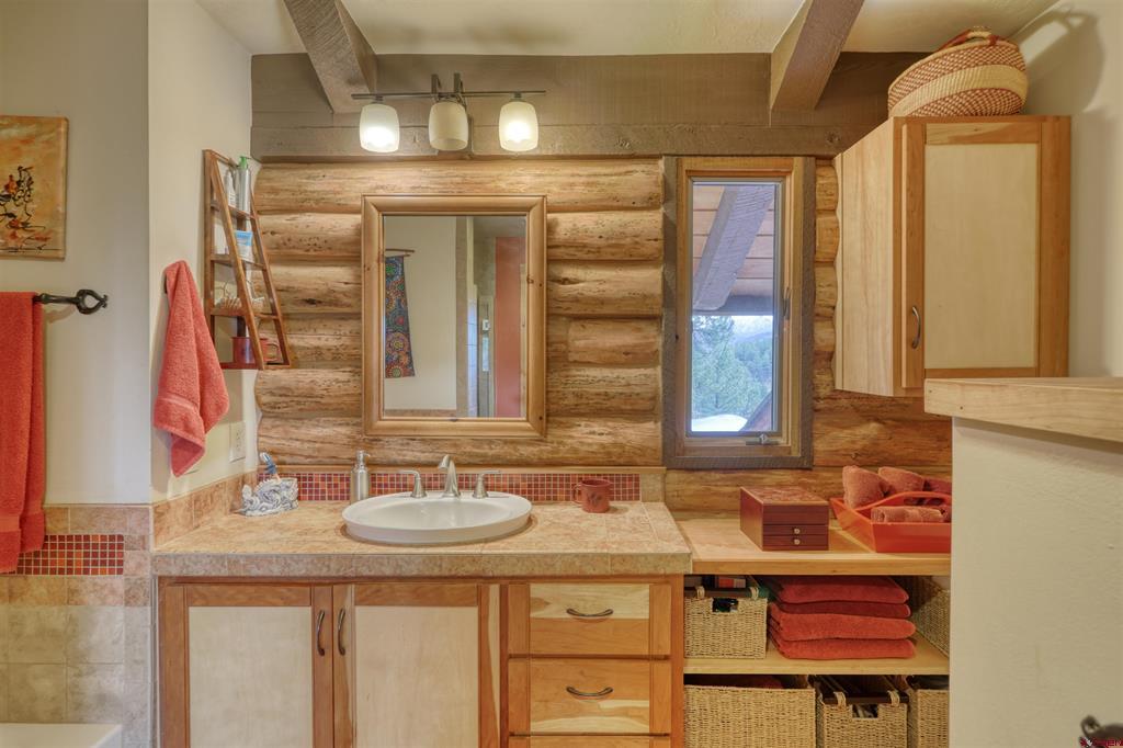 460 Appaloosa Circle Pagosa Springs CO 81147