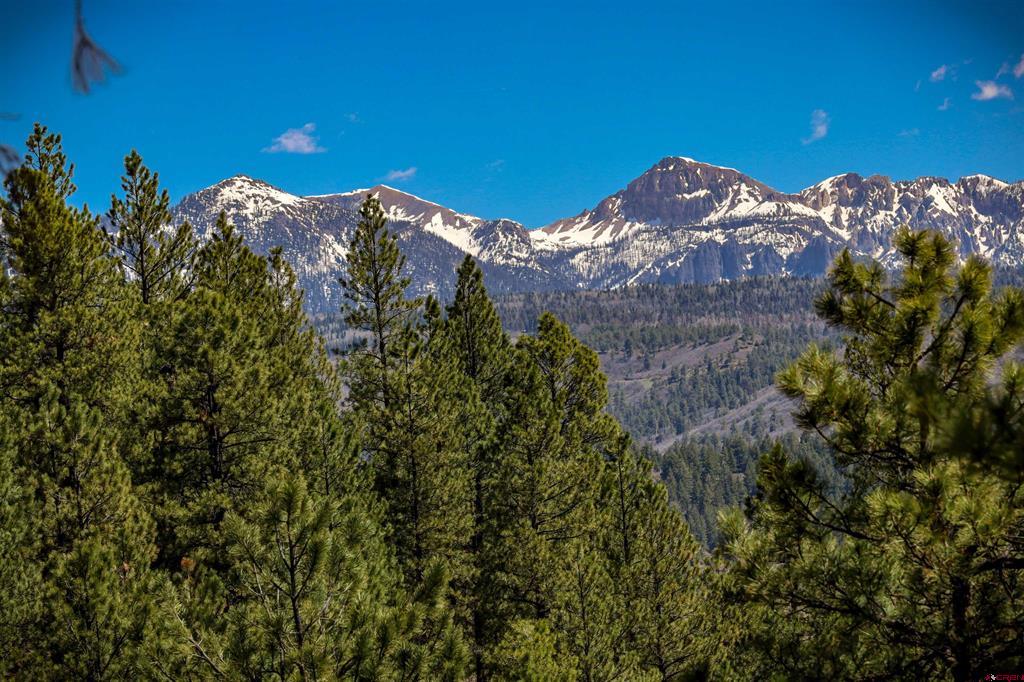 460 Appaloosa Circle Pagosa Springs CO 81147