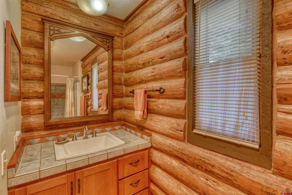 460 Appaloosa Circle Pagosa Springs CO 81147