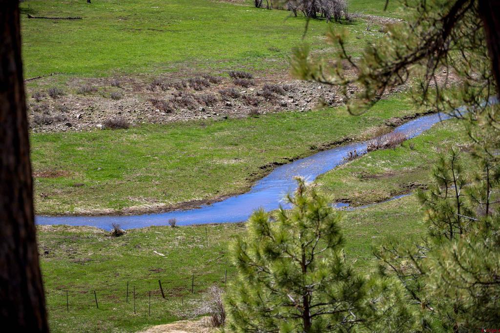 460 Appaloosa Circle Pagosa Springs CO 81147