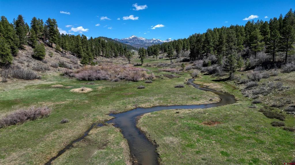 460 Appaloosa Circle Pagosa Springs CO 81147