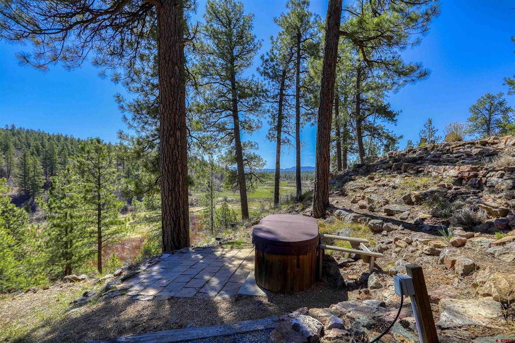460 Appaloosa Circle Pagosa Springs CO 81147