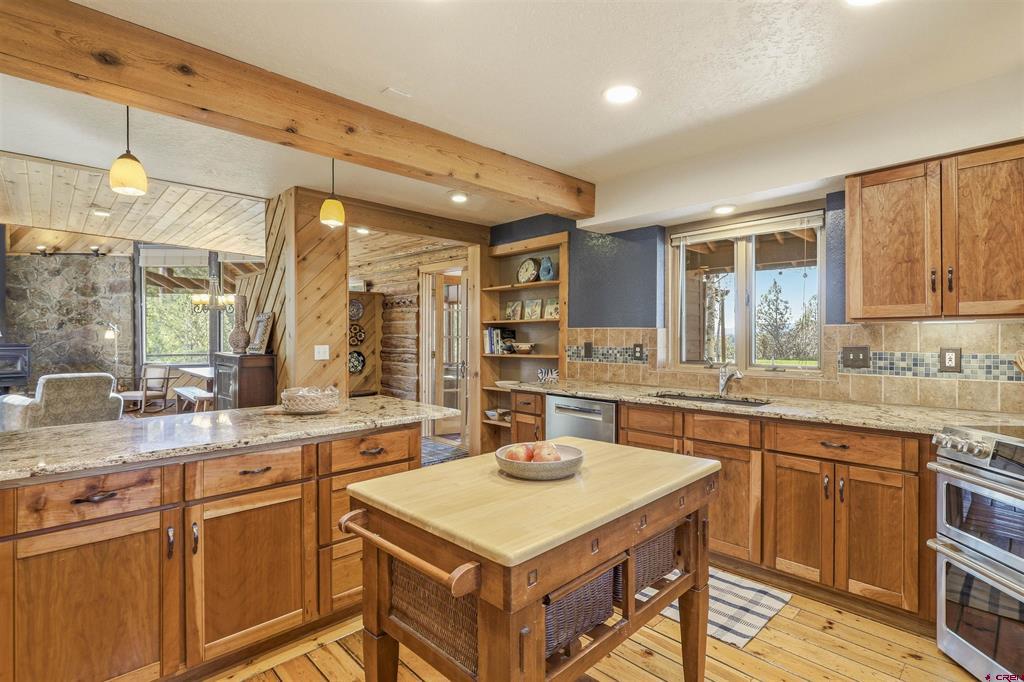 460 Appaloosa Circle Pagosa Springs CO 81147
