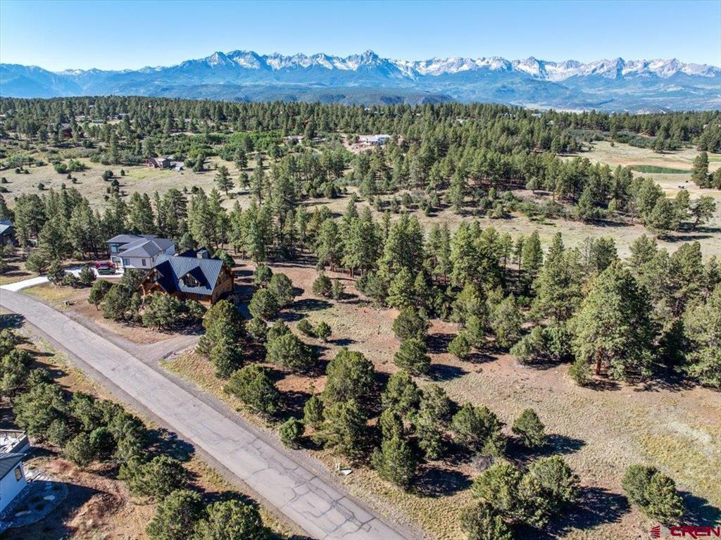 74 White Tail Lane Ridgway CO 81432