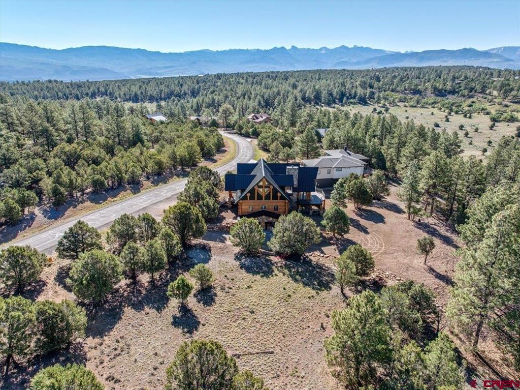 74 White Tail Lane Ridgway CO 81432