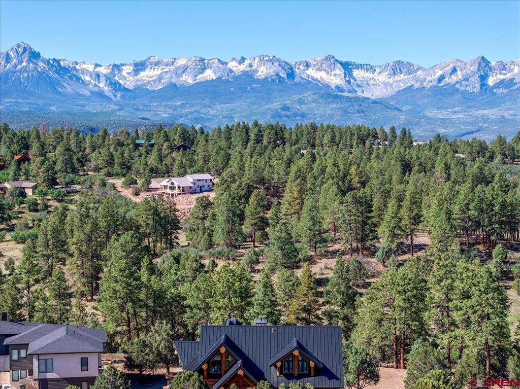 74 White Tail Lane Ridgway CO 81432