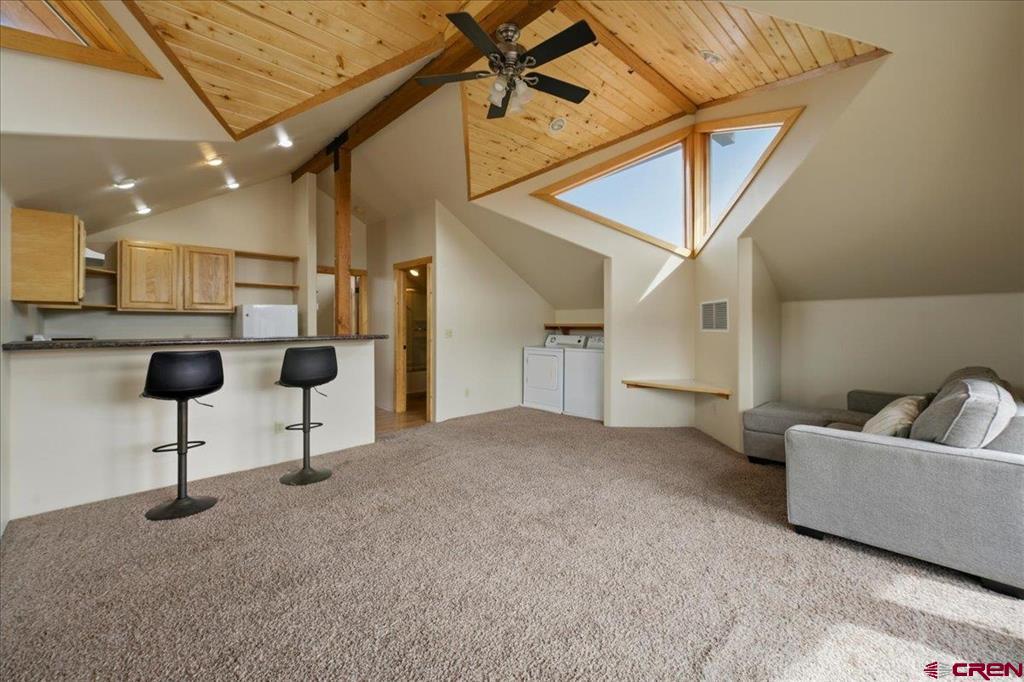 210 Sweetwater Drive Ridgway CO 81432