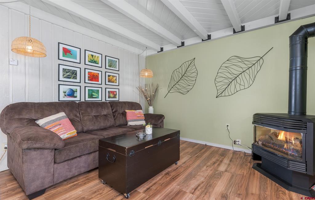 Pagosa Springs CO, 247 Davis Cup, Unit 4112