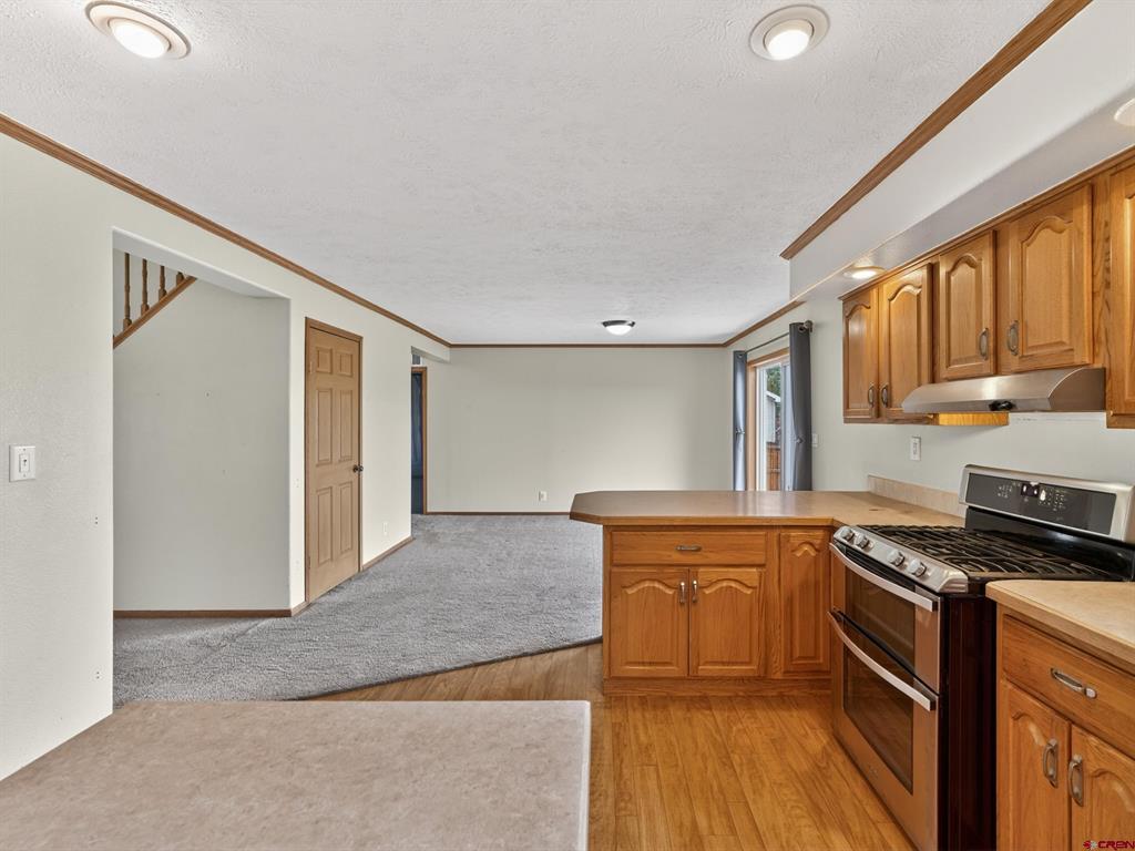 14 Homestead Circle Bayfield CO 81122
