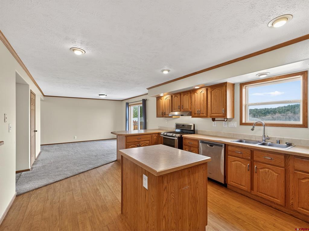 14 Homestead Circle Bayfield CO 81122