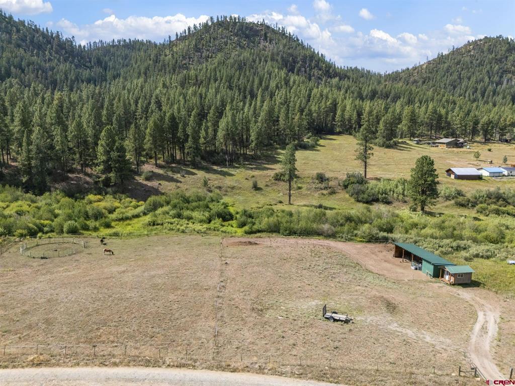 1645 Bear Creek Road Bayfield CO 81122