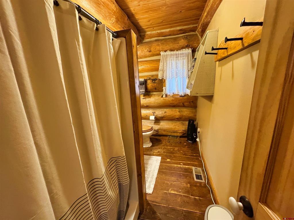 366 Frisco Pass Del Norte CO 81132