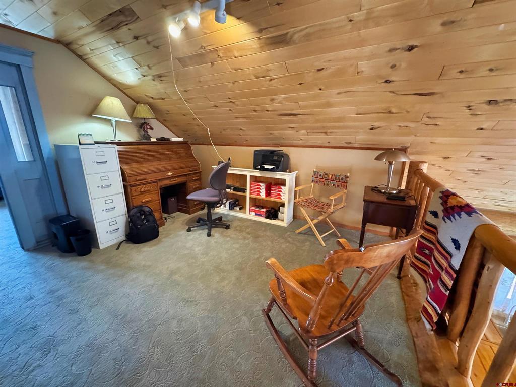 366 Frisco Pass Del Norte CO 81132