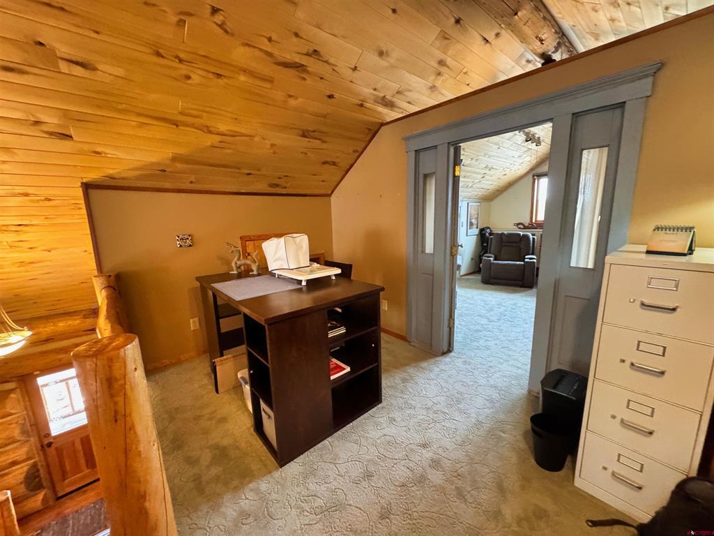 366 Frisco Pass Del Norte CO 81132