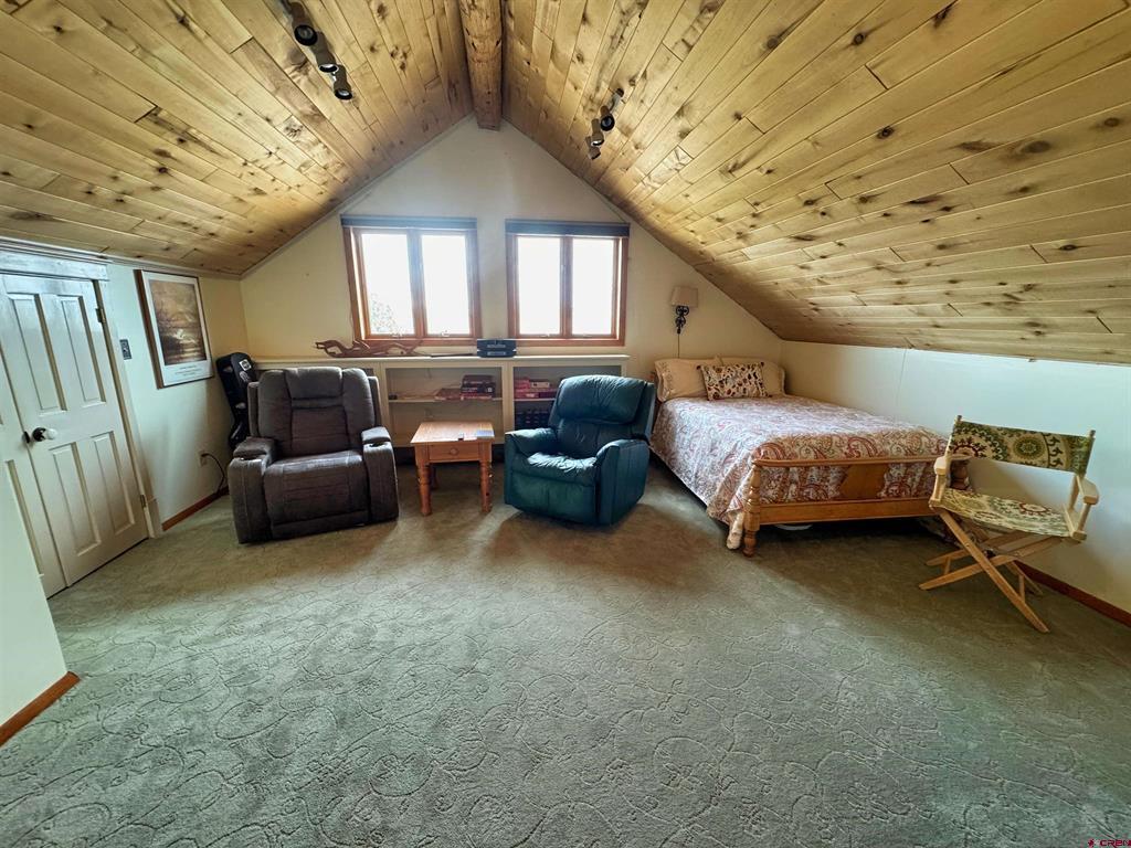 366 Frisco Pass Del Norte CO 81132