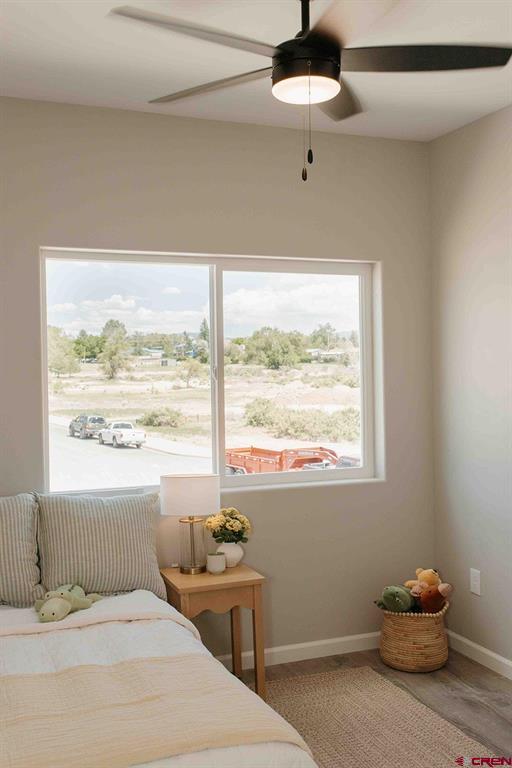 748 E Star Court Montrose CO 81401