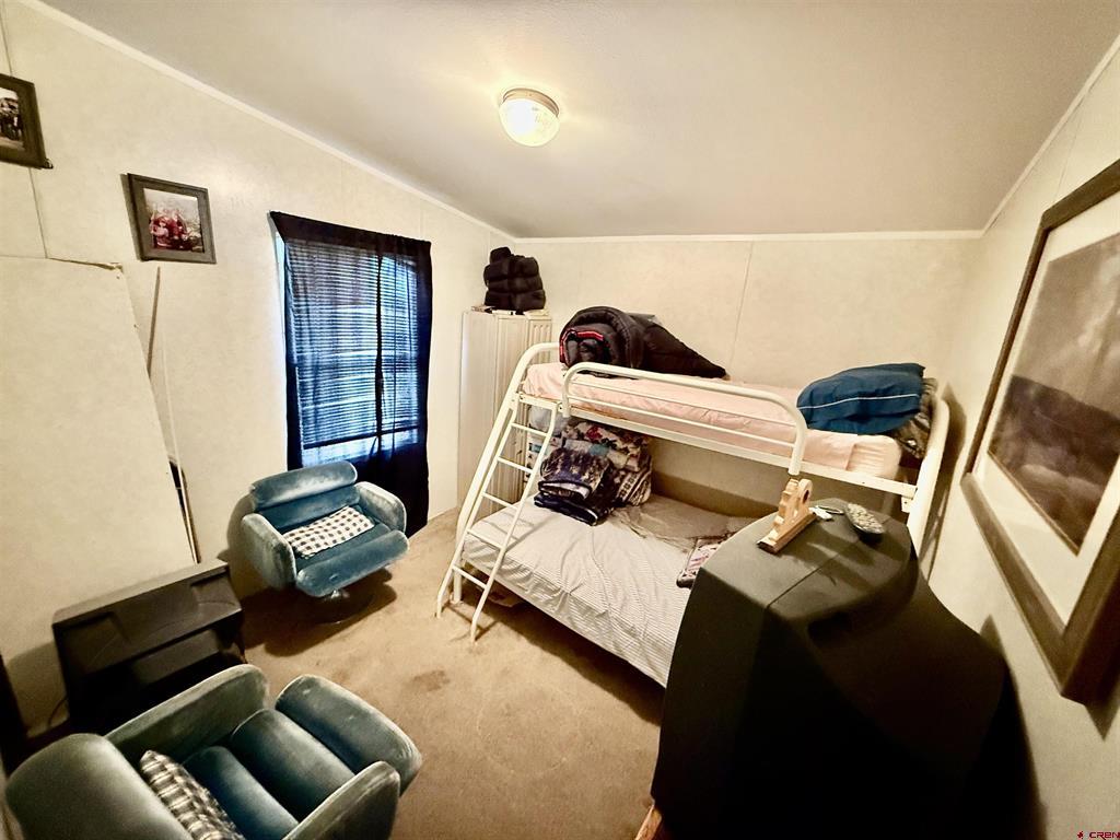 700 Rainbow Trail South Fork CO 81154