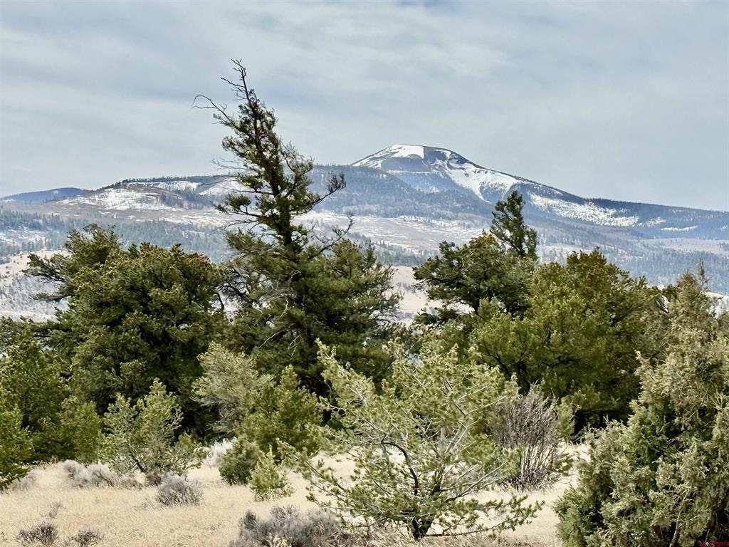 700 Rainbow Trail South Fork CO 81154