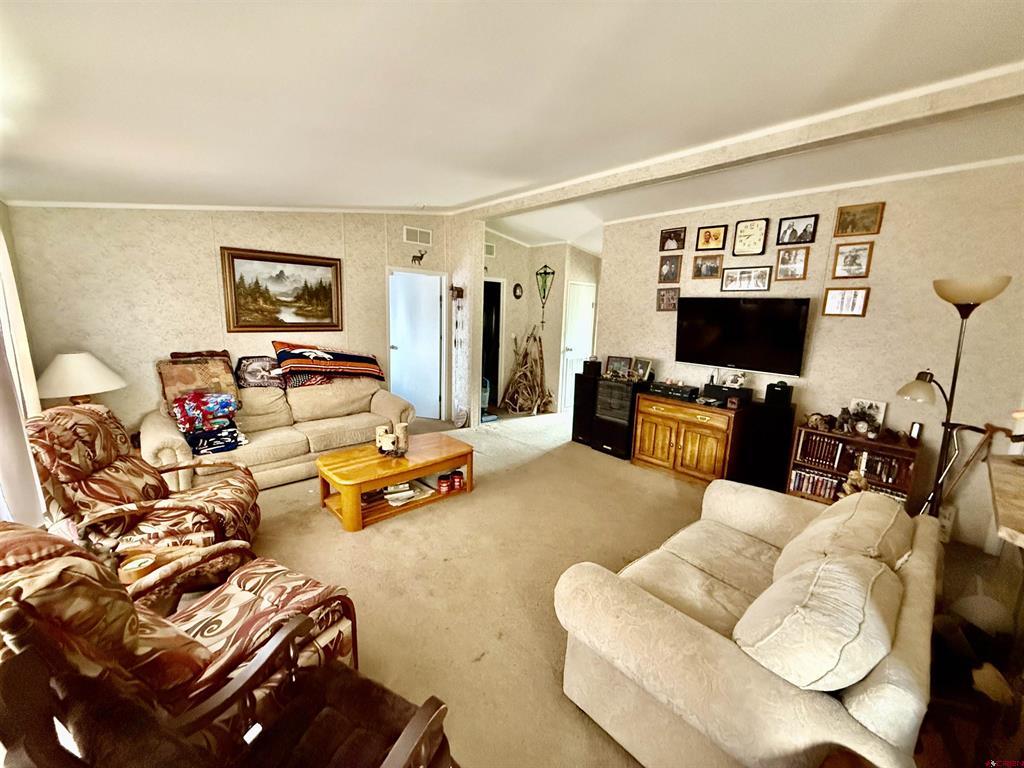 700 Rainbow Trail South Fork CO 81154