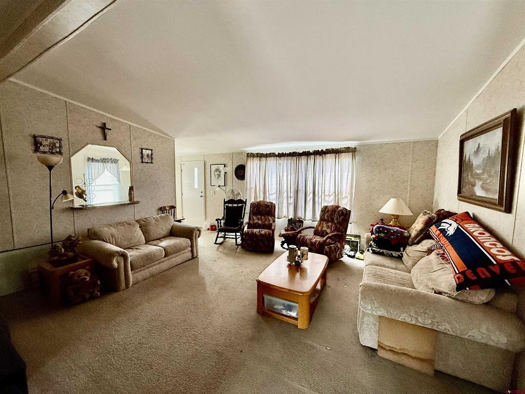 700 Rainbow Trail South Fork CO 81154