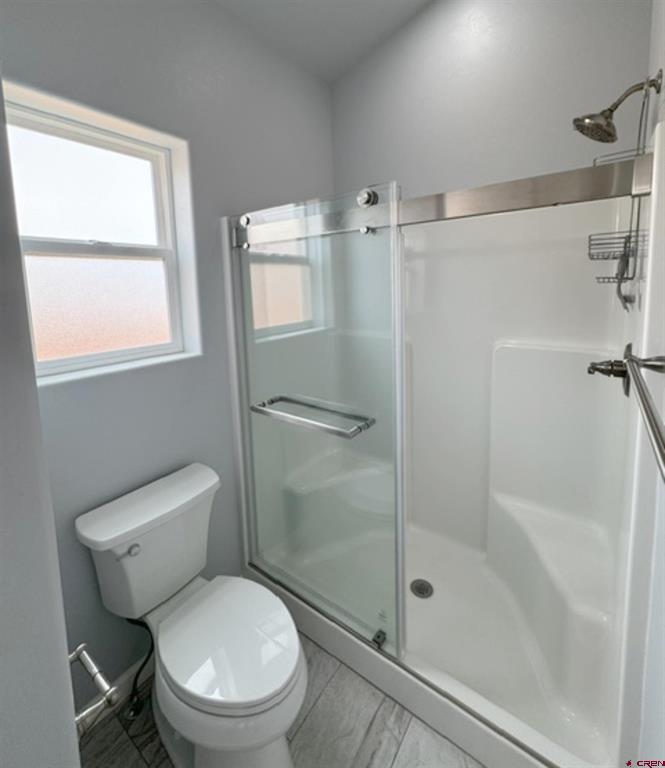 1437 Excelsior Creek Avenue Montrose CO 81401