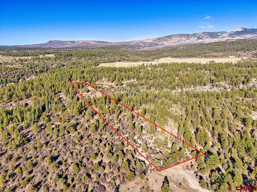 44750 Road L Mancos CO 81328
