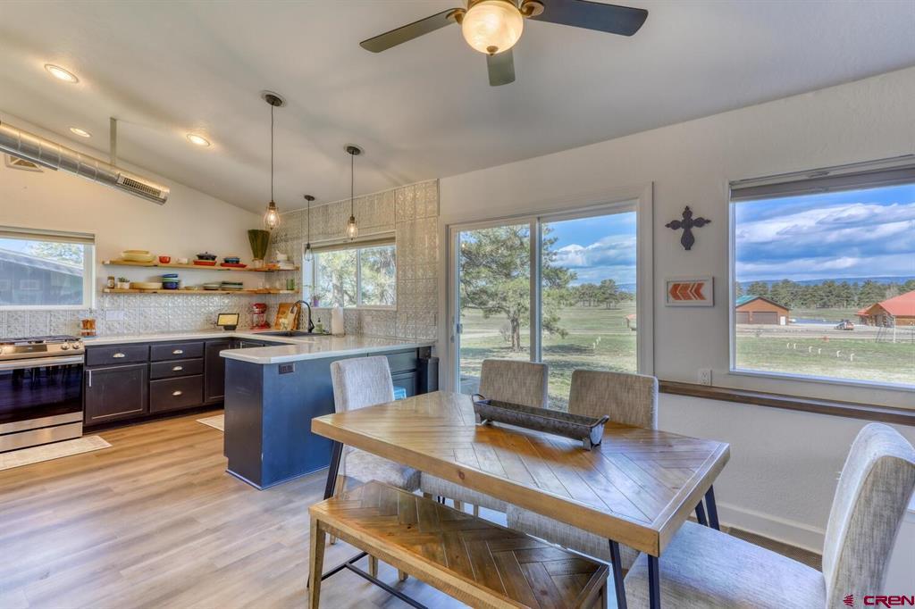 232 W Mccabe Street Pagosa Springs CO 81147