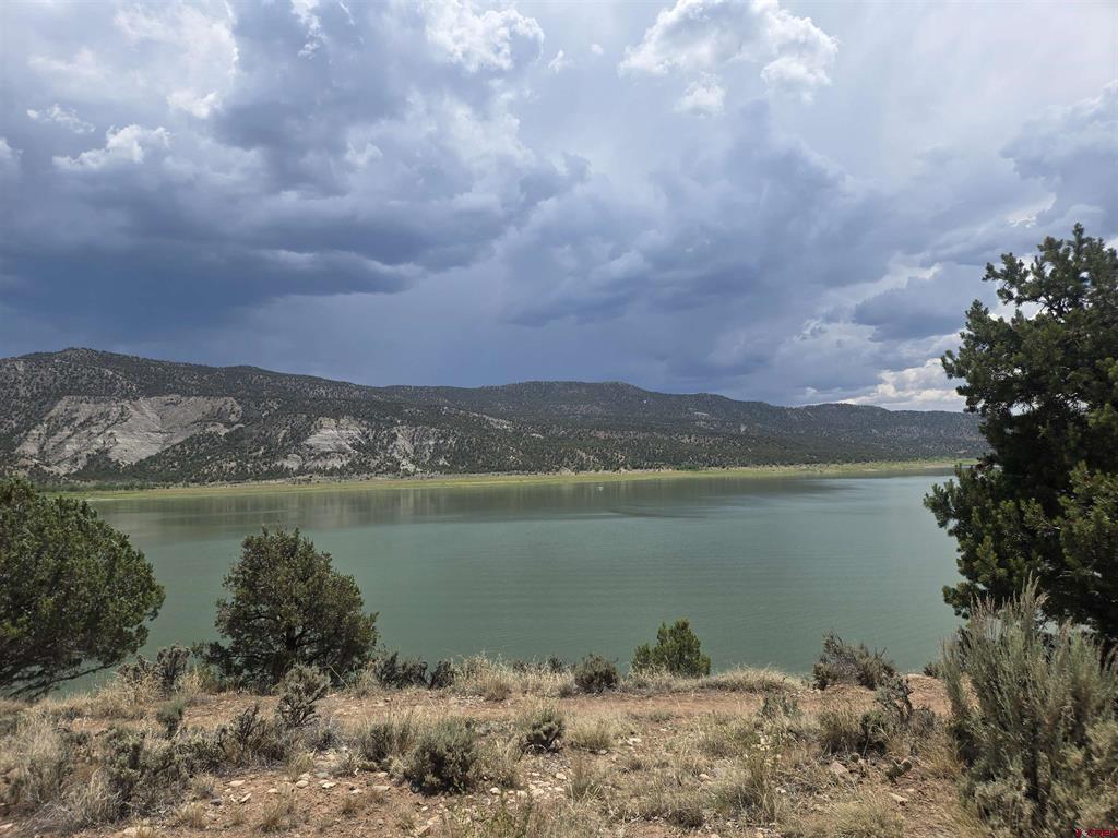 25 And 47 Hoot N Holler Arboles CO 81121