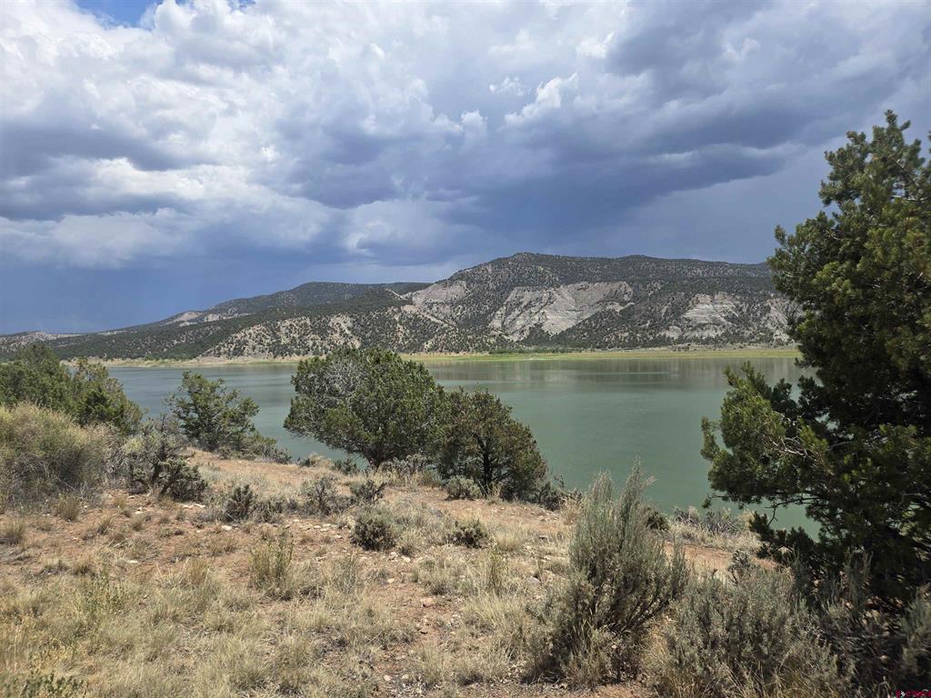25 And 47 Hoot N Holler Arboles CO 81121