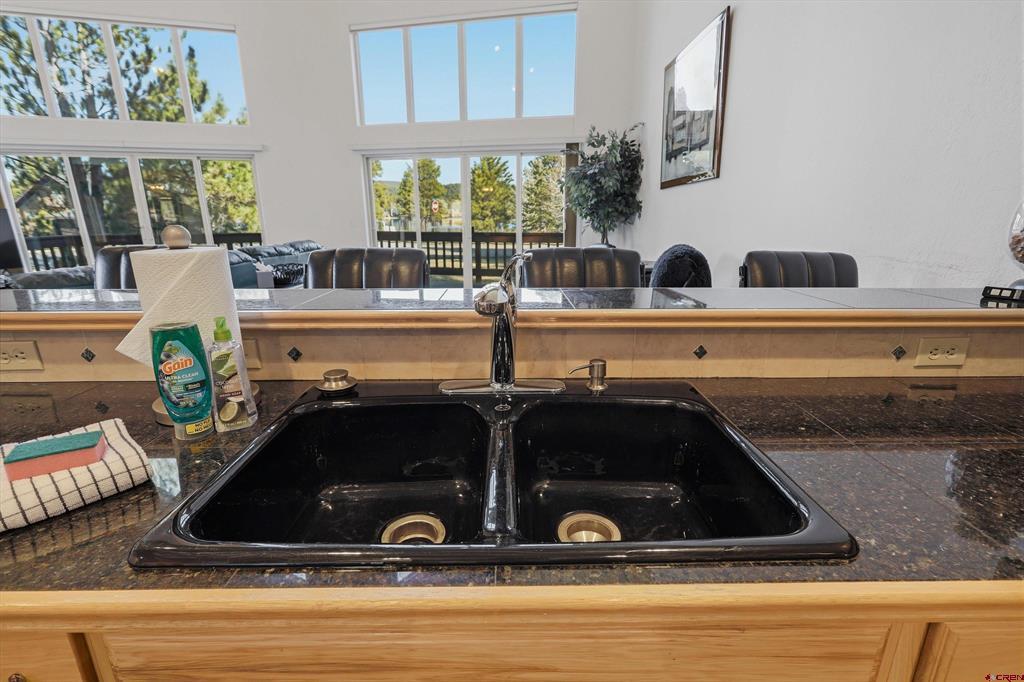 9 Pines Drive Pagosa Springs CO 81147
