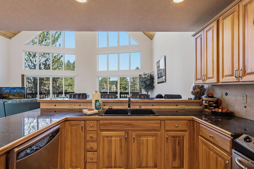 9 Pines Drive Pagosa Springs CO 81147