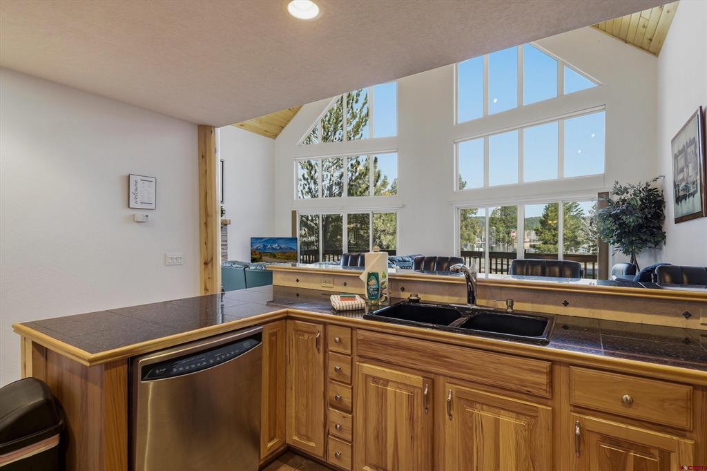 9 Pines Drive Pagosa Springs CO 81147
