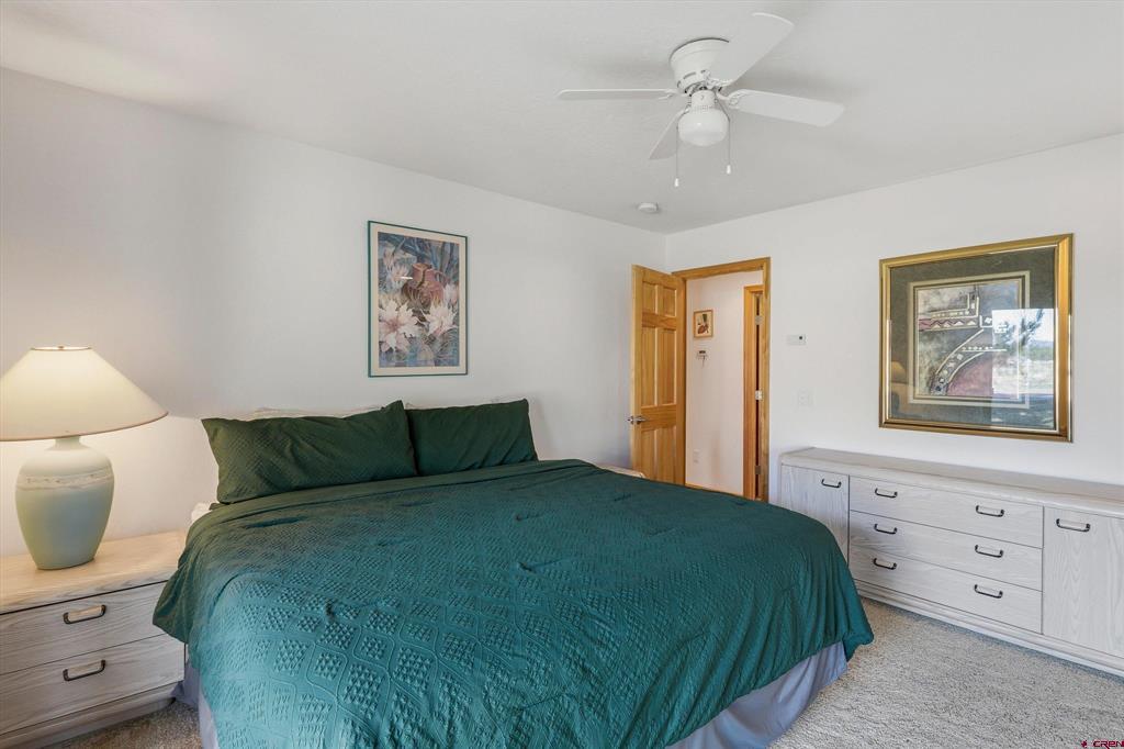 9 Pines Drive Pagosa Springs CO 81147