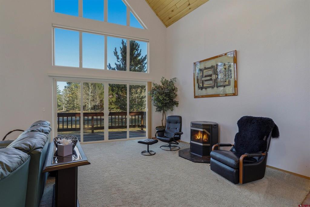 9 Pines Drive Pagosa Springs CO 81147