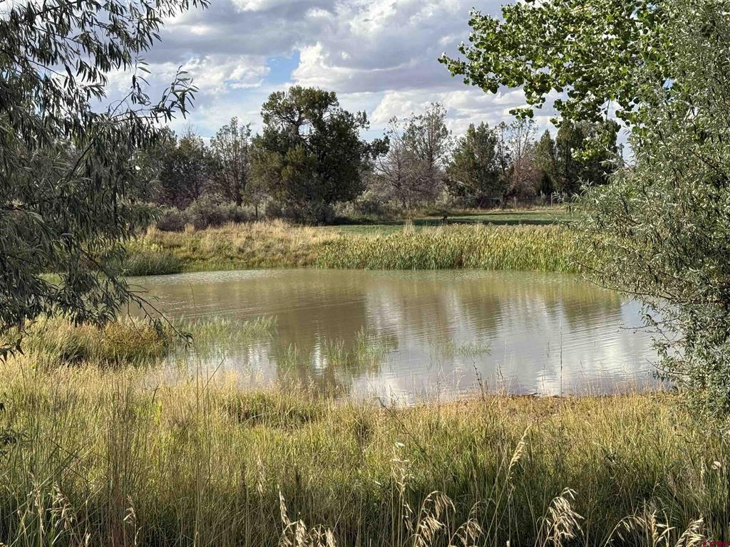 20623 Road N Cortez CO 81321
